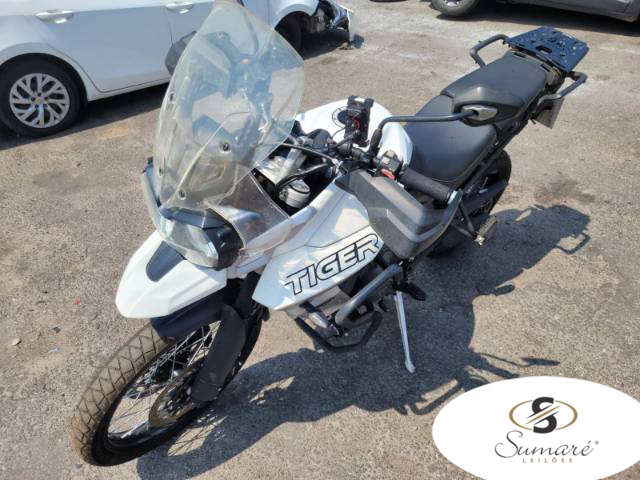 TRIUMPH TIGER 20/20